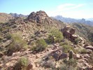 photo thumbnail #4