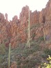 photo thumbnail #8