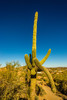 photo thumbnail #6