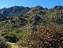 photo thumbnail #6
