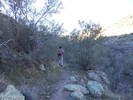 photo thumbnail #1