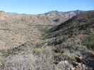 photo thumbnail #7