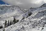 photo thumbnail #1