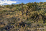 photo thumbnail #9