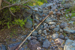 photo thumbnail #11