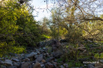 photo thumbnail #12