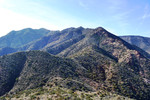 photo thumbnail #8