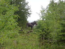 photo thumbnail #12