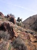 photo thumbnail #7