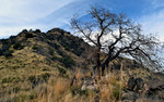 photo thumbnail #10
