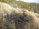photo thumbnail #7