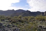 photo thumbnail #2