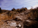 photo thumbnail #3