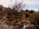photo thumbnail #4