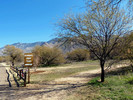 photo thumbnail #1