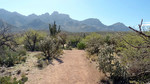 photo thumbnail #12