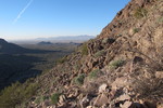 photo thumbnail #4