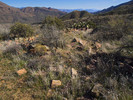 photo thumbnail #5