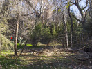photo thumbnail #10
