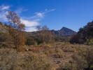photo thumbnail #15