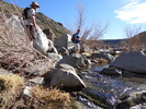 photo thumbnail #5