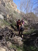 photo thumbnail #12
