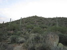 photo thumbnail #11