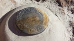 photo thumbnail #9