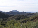 photo thumbnail #2