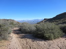 photo thumbnail #2