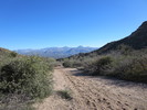 photo thumbnail #4