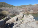 photo thumbnail #7