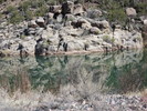 photo thumbnail #8