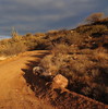 photo thumbnail #1