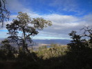 photo thumbnail #15
