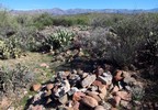 photo thumbnail #8