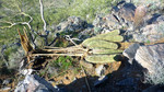 photo thumbnail #11