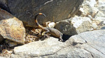 photo thumbnail #12
