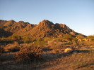photo thumbnail #6