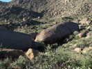 photo thumbnail #9