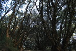 photo thumbnail #11