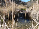 photo thumbnail #13