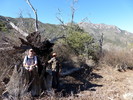 photo thumbnail #15