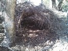 photo thumbnail #4