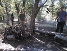 photo thumbnail #12