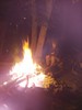 photo thumbnail #14