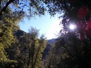 photo thumbnail #15