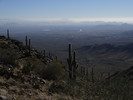 photo thumbnail #7