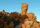 photo thumbnail #8