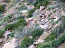 photo thumbnail #5